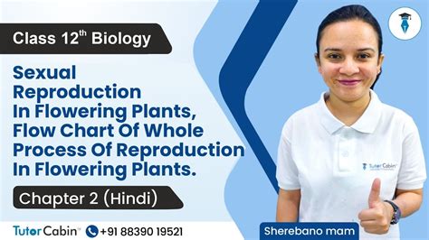 Biology Class 12 Chapter 2 Sexual Reproduction In Flowering Plants Hindi Tutorcabin