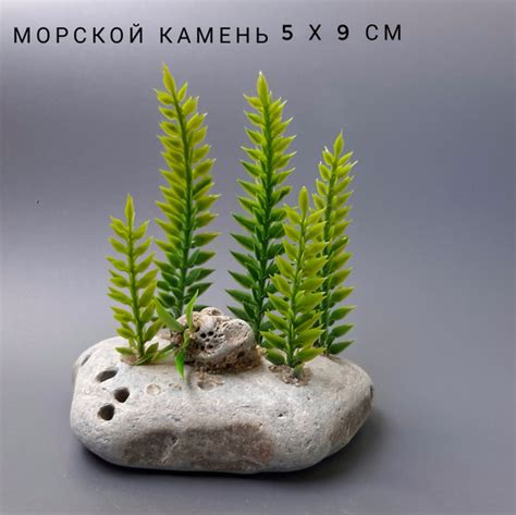 Декор для террариума змей и ящериц. - купить с доставкой по выгодным ...