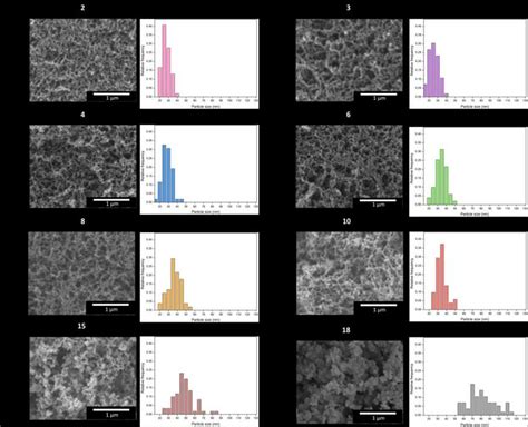 Sem Micrographs And The Corresponding Particle Size Distribution For