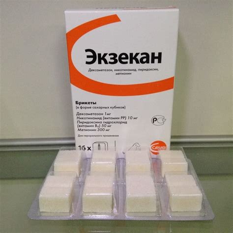 Экзекан для собак: инструкция по применению, отзывы, аналоги