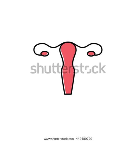 Vector Uterus Outline Healthcare Gynecology Icon Stock Vector Royalty