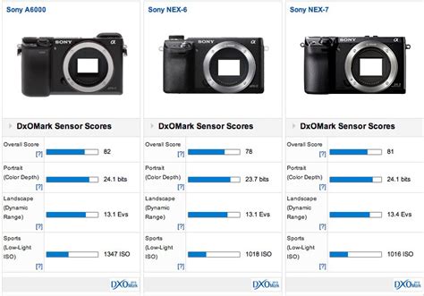 Sony A6000 sensor review: Little wonder - DXOMARK