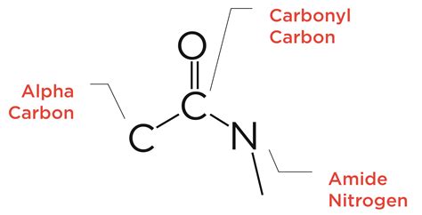 Amides Examples