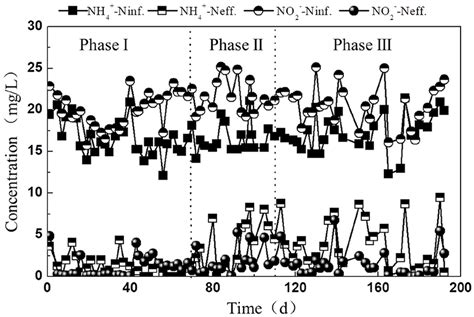 Variation Of Influent Effluent Concentrations Of Nh N And No N