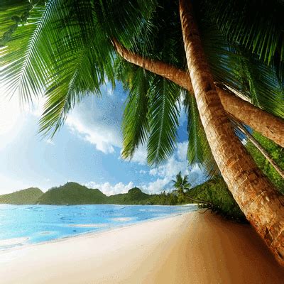 Animated Beach Gif Background - Gif Beach Vacation Destinations ...