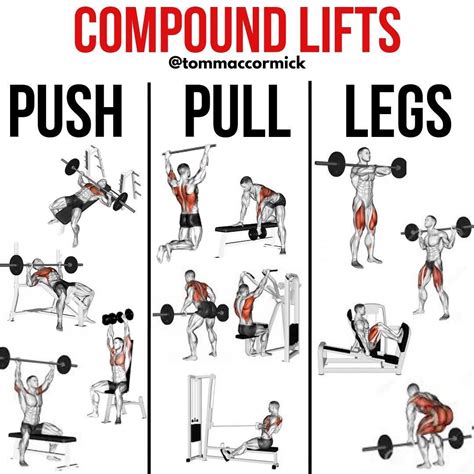 Push Pull Legs Weight Training Workout Schedule For 7 Days Artofit