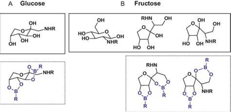 Analysis Of Protein Glycation Using Phenylboronate Acrylamide Gel Electrophoresis Springer