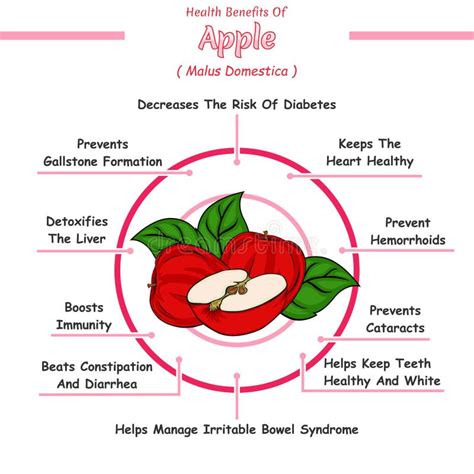 Health Benefits Of An Apple Stock Vector Illustration Of Cabbage