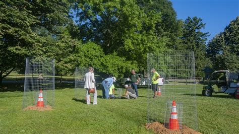 Readers React A Job Well Done At Louise Moore Park The Morning Call