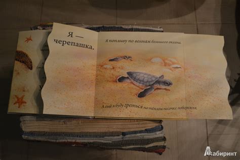 Книга: Кто спрятался? - . Купить книгу, читать рецензии | Лабиринт