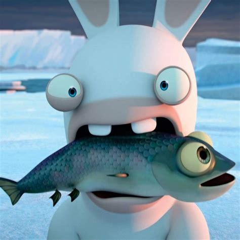 Lapin cretin | Funny iphone wallpaper, Rabbit invasion aesthetic, Funny ...