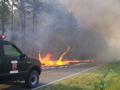 Pictures from a fire in North Carolina – Wildfire Today