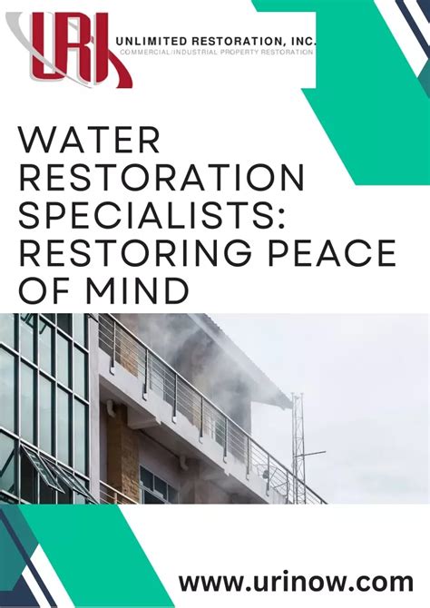 Ppt Revitalize Your Space With Expert Care Water Restoration