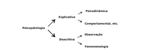 APRENDER PARA ENSINAR : Psicopatologia: Definições, Conceitos, Teorias ...