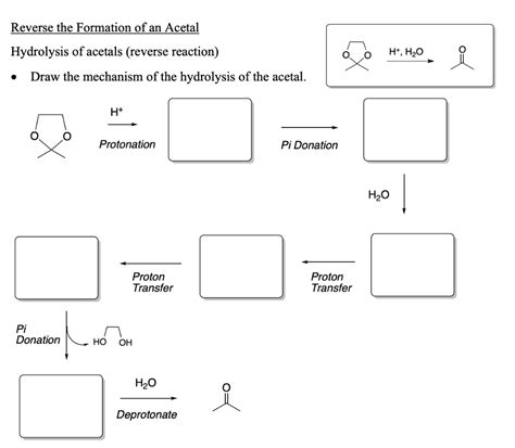 Solved Reverse The Formation Of An Acetal Hydrolysis Of Chegg