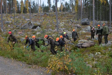 Sveaskog Sl R S Nder Lokal Lgf Rvaltning Svensk Jakt