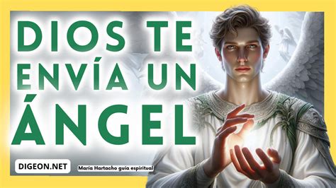 MENSAJES DE LOS ÁNGELES PARA TI DIGEON 08 07 2024 ARCÁNGEL RAFAEL