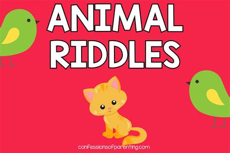 200 Best Animal Riddles That Will Leave You Laughing