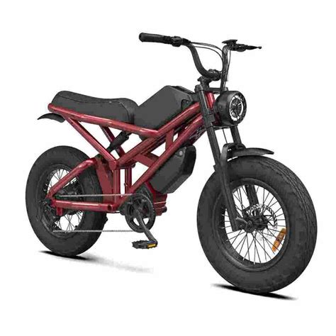 Electric Bike Inch Foldable Bicycle Rooder Mocha Nigeria