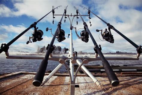 Ловля карпа: снасти, насадка и прикормка, тактика ловли