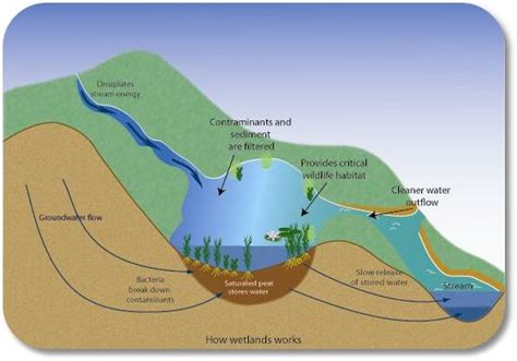 Groundwater Dictionary