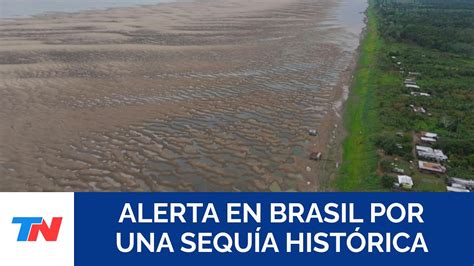 Brasil Situaci N Cr Tica En Afluentes Del R O Amazonas Por La Sequ A