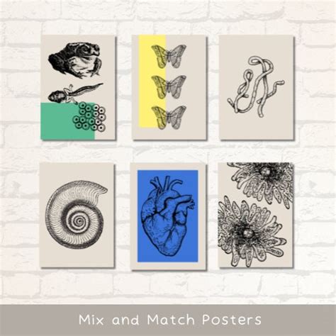 Biology Classroom Wall Art Poster Set of 18 Biology Science Printables Vintage Sketch Posters - Etsy