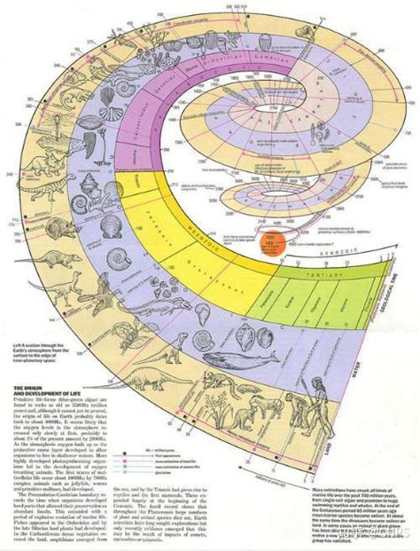 生命在地球上的历史一生命的时间表 知乎