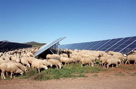 Consiga la máxima rentabilidad por sus tierras Periòdic del Camp de Túria