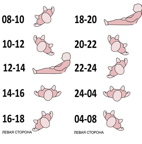 Алгоритм профилактики пролежней