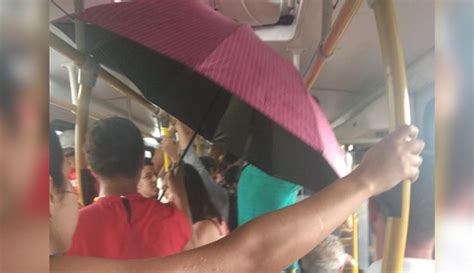 Passageira abre guarda chuva dentro de ônibus para se proteger de goteira