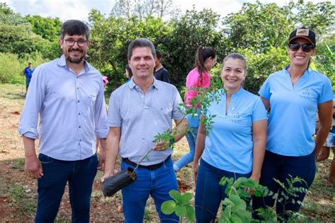 Com Apoio Da Prefeitura O Projeto “reflorestando O Brasil” Já Plantou