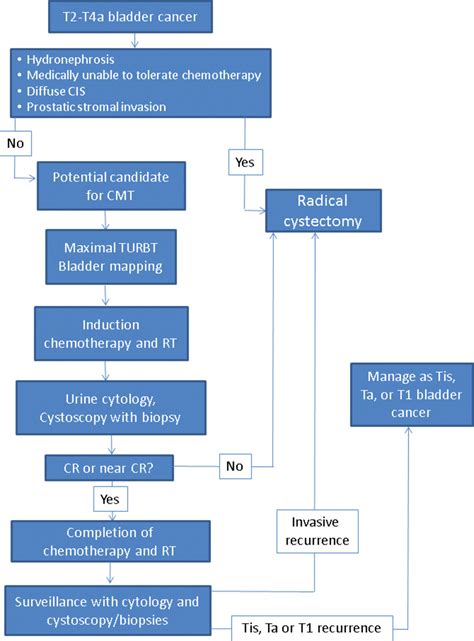 Trimodality Therapy In Bladder Cancer Who What And When Pmc