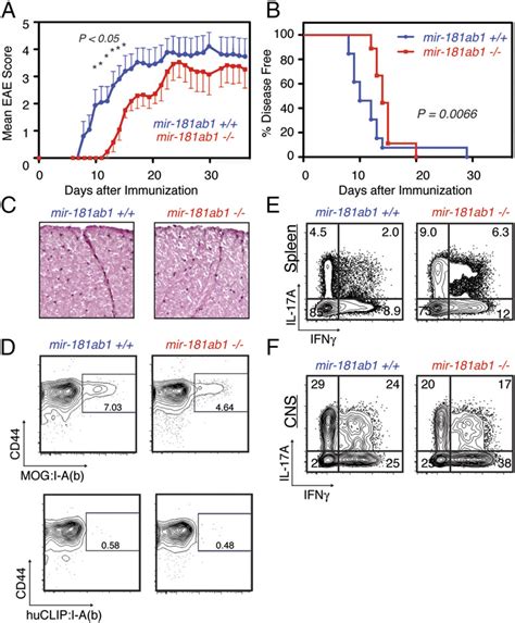 Mir A B Knockout Mice Exhibit A Delay In Eae Induction A