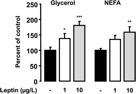 Leptin Induces Nitric Oxide Mediated Inhibition Of Lipolysis And