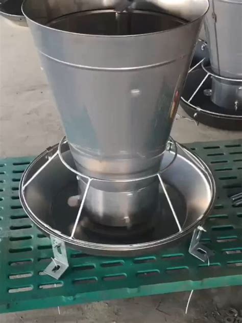 Kg Kg Capacity Automatic Feeder For Pigs Piglet Feeder Trough