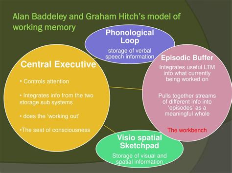 Ppt Models Of Memory Powerpoint Presentation Free Download Id2983623