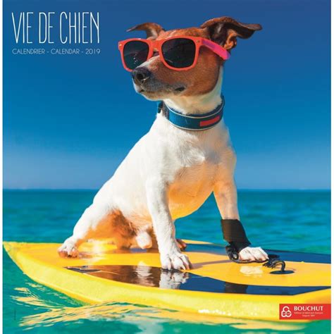 Stock Bureau BOUCHUT Calendrier illustré souple Vie de Chien 30 x 30 cm