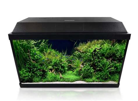 Akwarium LED 60L z filtrem i grzałką Lublin • OLX.pl