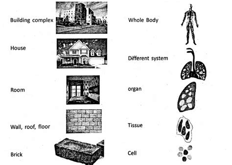 Wbbse Notes For Class General Science And Environment Chapter