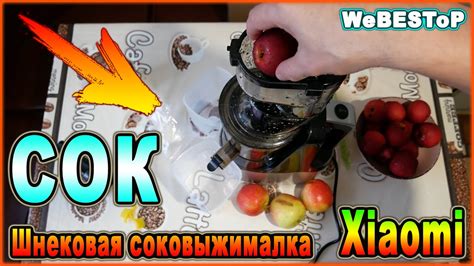 Шнековая соковыжималка Xiaomi miui с Алиэкспресс. Распаковка и ТЕСТ ...