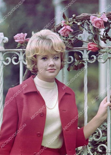 Hayley Mills Outdoors Portrait 8b20 18462 Abcdvdvideo