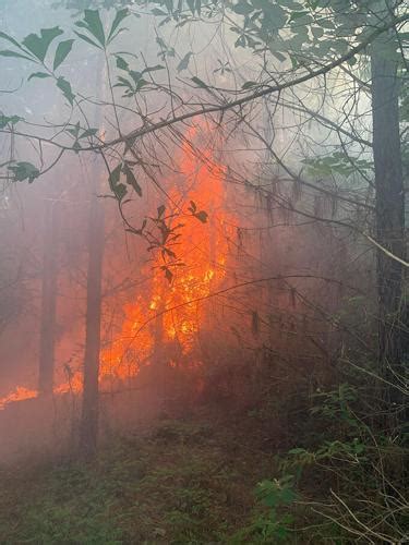 Early Morning Woods Fire Is Thought To Be Arson Local News