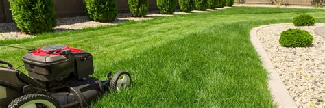 Your Guide to Year-Round Lawn Care Success | PowerPro Equipment