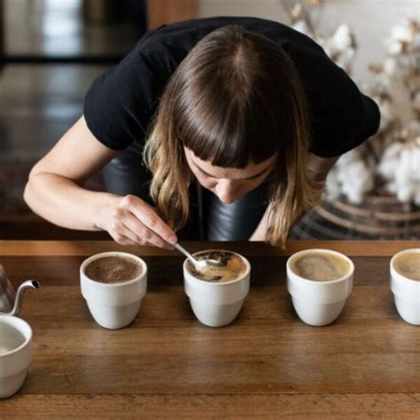 Tazas para catación de café según la SCA Primero Café