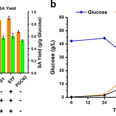 Kinetics Of Cell Growth Glucose Consumption And SA Production During