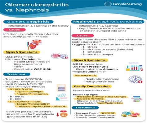 Renal And Gu Disorders Flashcards Quizlet