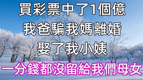 買彩票中了1個億，我爸騙我媽離婚，娶了我小姨，一分錢都沒留給我們母女 Youtube