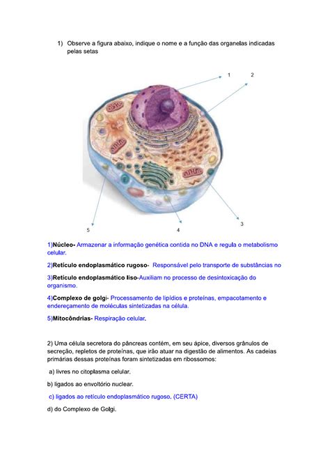 Atividade Bases Biologia Bases Da Biologia Molecular