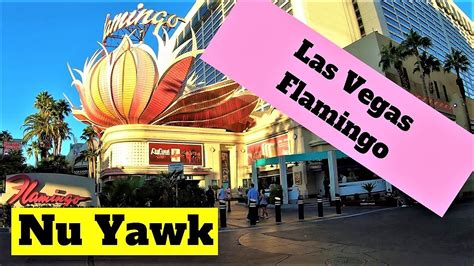 🟡 Las Vegas | The Flamingo Hotel and Casino tour including Carlos